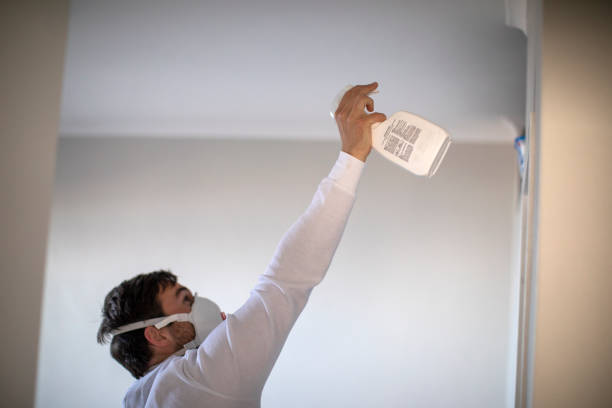 Best Local Mold Removal Service  in Bryant, AR