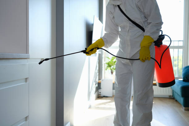 Certified Mold Removal in Bryant, AR